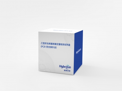 乙型肝炎病毒核酸檢測(cè)試劑盒（PCR-熒光探針法）